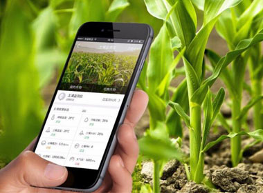讓農業搭上“互聯網”快車